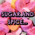 Pixelated pink flower background with text overlays reading 'SUGAR AND SPICE...', 'AND EVERYTHING NICE...', and 'KATE' in blue letters.