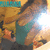 A pixelated image of a person in a teal top and dark shorts, with visible text at the top left.