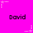 A bright pink background features repeated black text 'David' and white star-shaped pixel art with dotted lines, arranged in a pattern