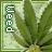 identical square icons featuring a green cannabis leaf on a light green background with vertical text reading 'weed', 'Nature', or 'cure' in green and white lettering