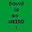 Green background with dark blue text reading "David is so WEIRD!" in three , where the middle 's "so" and bottom 's "WEIRD" are highlighted by bright green rectangular overlays
