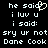 Pixelated text displays 'he said' with a heart symbol, 'i luv u', 'i said:', 'sry ur not', and 'Dane Cook' in white on black.