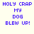 Blue pixelated text reads "HOLY CRAP MY DOG BLEW UP!" on a white background with red circular gradient overlays in different positions.