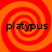 Four identical orange-red spiral patterns with black text "platypus" overlaid on each quadrant.