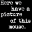 A mouse appears in two states: first as a plain mouse, then wearing a black jacket and standing upright while text describes it playing guitar.