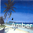 A beach scene with palm trees and blue sky, featuring the name 'Amber' in pixelated text that changes color from white to blue across frames.