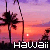 A static image of a tropical sunset with palm trees silhouetted against pink and purple sky, overlaid with the word "Hawaii" in varying text colors.