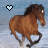 Pixelated brown horse in mid-gallop with a light blue heart symbol above its head against a gradient background.