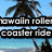 A beach scene with palm trees and blue sky, overlaid with repeated text reading "hawaii rollercoaster ride" in white letters on black bars.