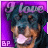 iconhell_bapity88_rottweiler