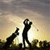 Pixelated static image of two dark silhouetted figures against a gradient sky background with light source behind them, appearing to be golfers in mid-swing pose on a low-resolution 50x50 icon frame.