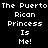 Pixelated text displays 'The Puerto Rican Princess Is Me!' with green highlight changes across four on a black background