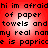 Red background with black pixelated text repeating 'hi im afraid of paper towels and towels and my real nannmy real name is papricce is papricce' in two identical horizontal sections.
