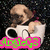 A small dog in a white cup with black handles, holding a white object, against a dark speckled background with pink and green text overlay.