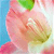 Pixelated image of a pink flower with green leaves against a blue background, rendered in low-resolution style.