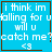 Blue background with white text reading "i think im falling for u will u catch me? <3" and brown border, featuring two distinct animated symbols.