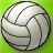 Pixelated volleyball with segmented panels on a green background, rendered in grayscale tones.