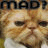 Animated contact sheet showing two frames of a cat icon with text above it, each frame displaying the same cat's face in slightly different expressions.