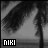 A grayscale animated icon shows a palm tree silhouette against a gradient sky, with changing signal bars and text in the bottom-left corner.