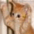 A static image featuring a pixelated cat on the left and multiple text fragments in various colors and fonts against a black background.