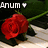 Pixelated red rose with green stem and leaves, white heart symbol, and 'Anum' text in top-left corner against dark background.