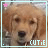 Animated contact sheet of a golden retriever puppy's face in 6 frames with pixelated text and star accents, displayed on a gray background.