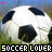 Two identical soccer balls on grass with blue sky background, each labeled "SOCCER LOVER" in pixelated text below.