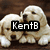Four identical pixelated puppy images arranged in a , each with overlaid text in a black rectangular box