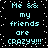 Pixelated text on black background with white dots, repeated four times in a , reading 'Me && my friends are CRAZYY!!!'
