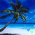 Pixelated beach scene with palm trees and two heart icons, one blue and one green.