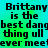 Pixelated text on a gradient background reads 'Brittany is the best dang thing ull ever meet' in four identical repeated sections.