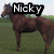 A static image of a brown horse standing in grass with text "Nicky" above it, and another black horse running with text "rides".