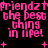 Pixelated pink text on black background reads 'friendz the best thing in life!' with plus signs scattered across the image.