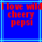 Blue background with light blue lines and red pixelated text reading "I love wild cheery pepsi" in three