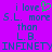 Pixelated text on purple background with green heart symbol replacing 'you' in 'i love you', reading 'i love S.L. more than L.B. INFINETY'