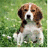 Pixelated image of a dog with brown and white fur standing on green grass, facing forward.