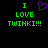 Green pixelated text 'I LOVE TWINKI!!!' with a purple heart symbol on black background, displayed in two identical side-by-side