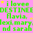 Pixelated green text on pink background with yellow stars, repeating 'i lovee' and names like Flavia, Lexi, Mary, Sarah. Animated star movement visible.