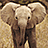 Pixelated elephant image with text overlay on black background, featuring partial phrases about Democrats and Republicans.