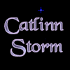 Animated sequence showing 'Catfinn Storm' text with a dolphin silhouette and star effects transitioning from partial to full visibility.