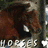 Brown horse with white markings on face and legs, standing in a grassy field under trees.