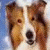 buddysite-05495