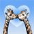 Two giraffes with brown and white spotted patterns form a heart shape with their necks against a light blue sky background.