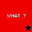 A split-screen image with red and black sections displaying 'WHAT ?' text and star symbols, one star black and one red.