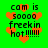 Green background with orange pixelated hearts and black text reading 'cam is soooo freekin hot !!!!!!!' repeated in four quadrants.