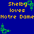 Pixelated blue background with yellow text reading "Shelby loves Notre Dame" and green square-based icons in four positions, two of which animate between frames.