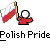 A static pixel art buddy icon featuring a stick figure holding the Polish flag, displayed in two identical frames within a contact sheet layout with promotional text for 'badassbuddy.com' on a gray background.