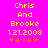 Yellow pixelated text on bright pink background reads 'Chris And Brooke 1.21.2008' with five orange and red star-like symbols below.