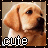 iconhell_cutedog