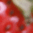 Red and white patterned surface with dark circular spots, light beige curved shape, and gray rectangular area.